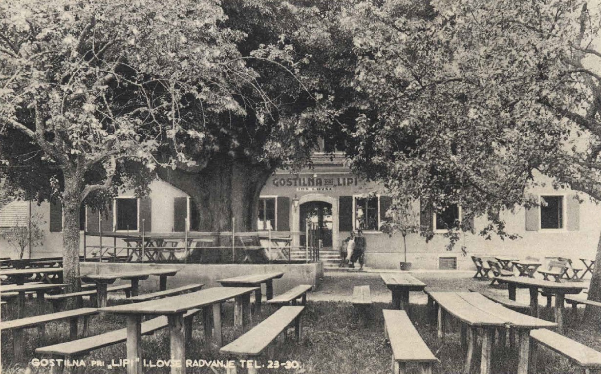 galerija